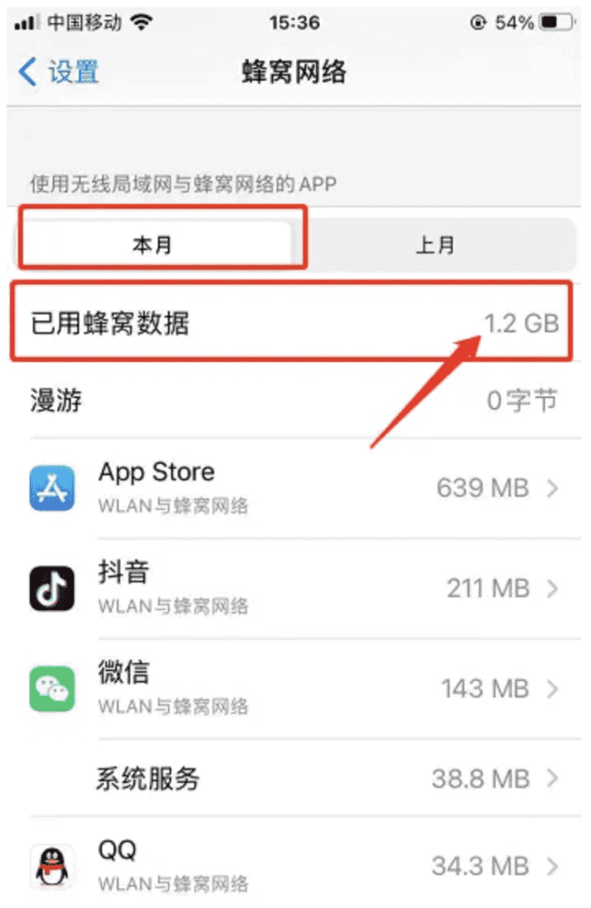 如何检查 iPhone 上的数据使用情况