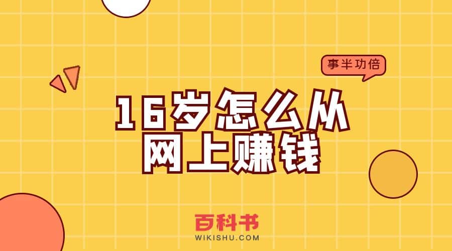 16岁怎么从网上赚钱