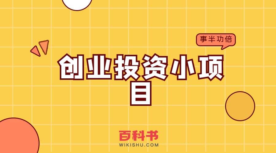 创业投资小项目