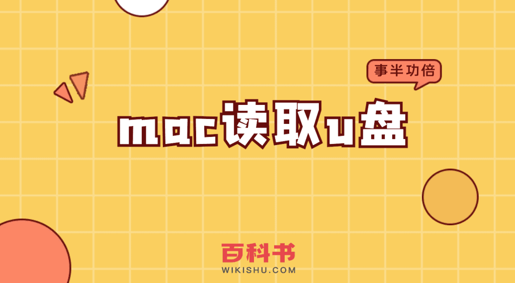 mac读取u盘