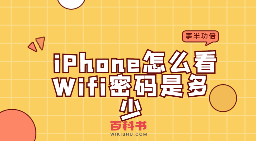 iphone怎么看wifi密码是多少