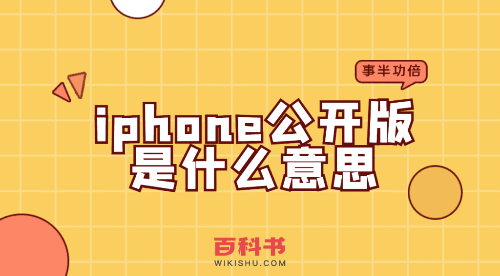 苹果iPhone公开版手机是什么意思